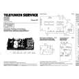 TELEFUNKEN P450CV Service Manual cover photo