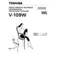 TOSHIBA V109W Owner's Manual cover photo