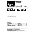 PIONEER CLD-52 Service Manual cover photo