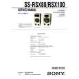 SONY SSRSX100 Service Manual cover photo